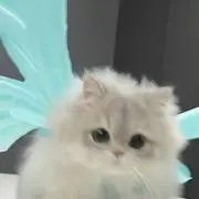 あやな