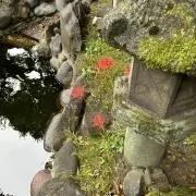パラパラライスの画像