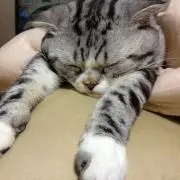 たくやの画像