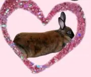 いろママ♡