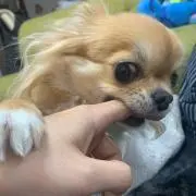 マイ舞