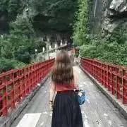 ぱーしーの画像
