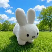 らっきーの画像