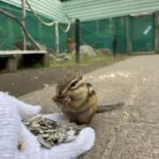 ろぐえむの画像