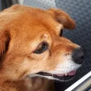 ひろ