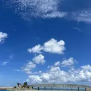 ぽぽんたの画像