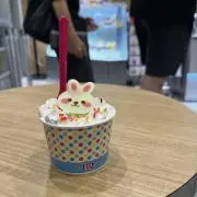 夏の画像