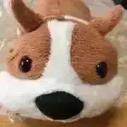 まりの画像