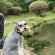 ノイン