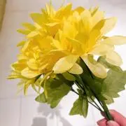 ann《プロフ必読》の画像