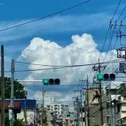 ワンダー