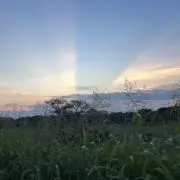 RTK
