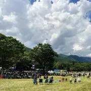 ネコリメの画像