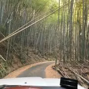 カイト※プロフ確認お願いします。