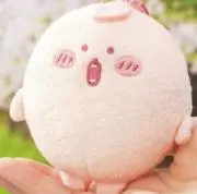 花咲の画像