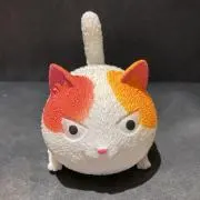 マルニの画像