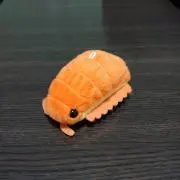 きぃ☆の画像