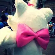 Taigaoimaman✧‧˚