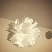 roomの画像
