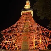 tの画像