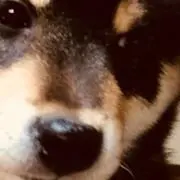 ぬう