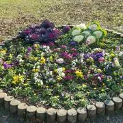 はなはな❀✿
