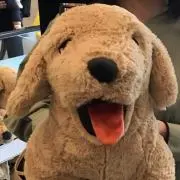 キムキムの画像