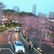 バス釣り乃木坂！