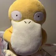 コダちゃん