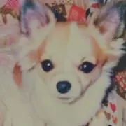 わさかぼの画像