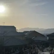 しおん
