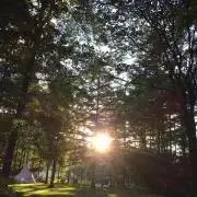 tomoの画像