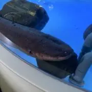 自己紹介文も読んでねの画像