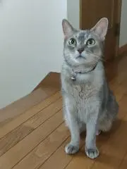 yukoの画像