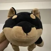 エムアンドケイの画像