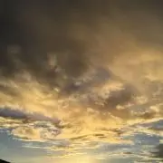 シンプルライフ