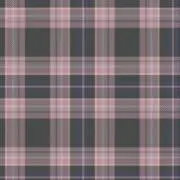 kotamonの画像