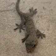 まさあきの画像
