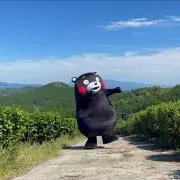 優客の画像