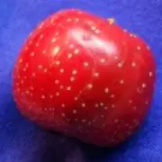 334の画像