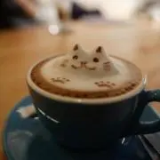 yo☆の画像