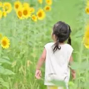 Maiの画像