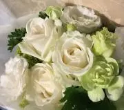 きょこ