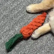 あーちんの画像