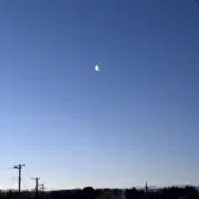 いちばの画像