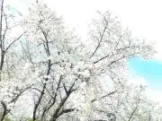 minori_greenの画像