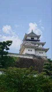 ミッチーの画像