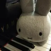 わるつの画像