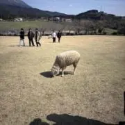 なすの画像