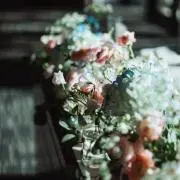 もちもちの画像